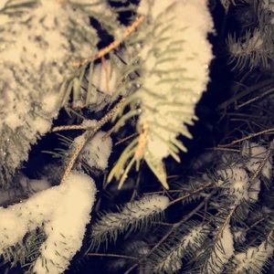 Meet your Posher, Noah